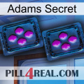 Adams Secret 03